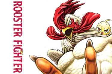 rooster fighter